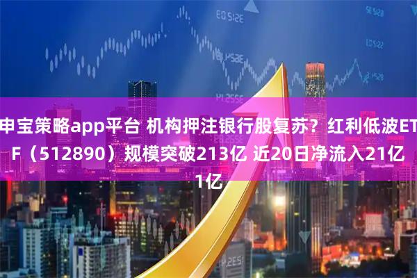 申宝策略app平台 机构押注银行股复苏?红利低波ETF(512890)规模突破213亿 近20日净流入21亿